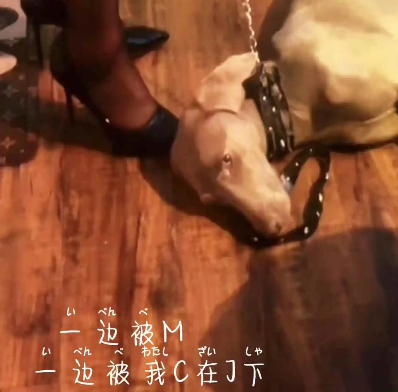 西檬之家-斯慕圈新人必须知道的10个术语怎么说