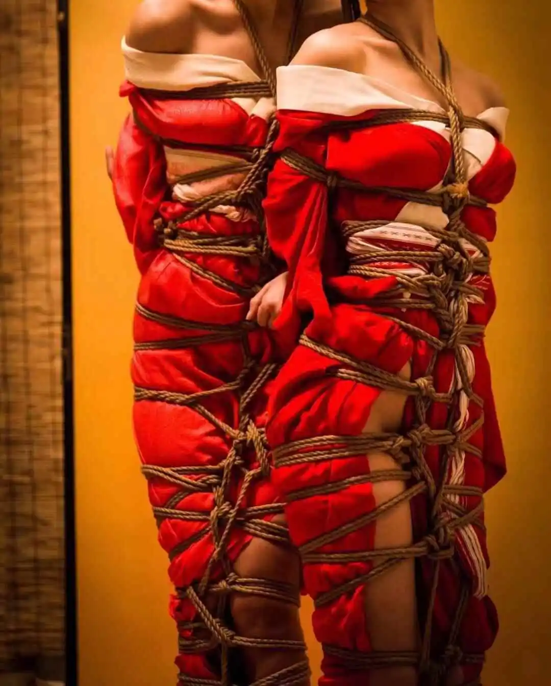 【西檬之家】TK是什么？字母圈新人科普与安全指南