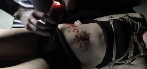 【西檬之家】BDSM新人指南：深入理解Brat属性与核心原则