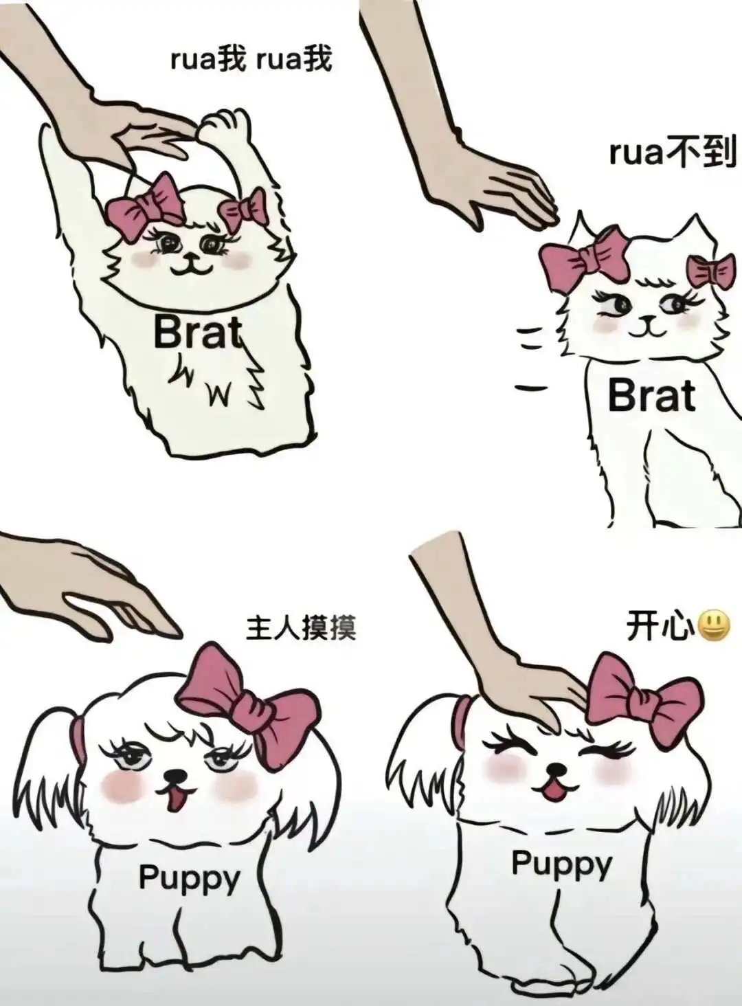 【西檬之家】-字母圈新人如何入圈：BDSM基础术语及实践指南