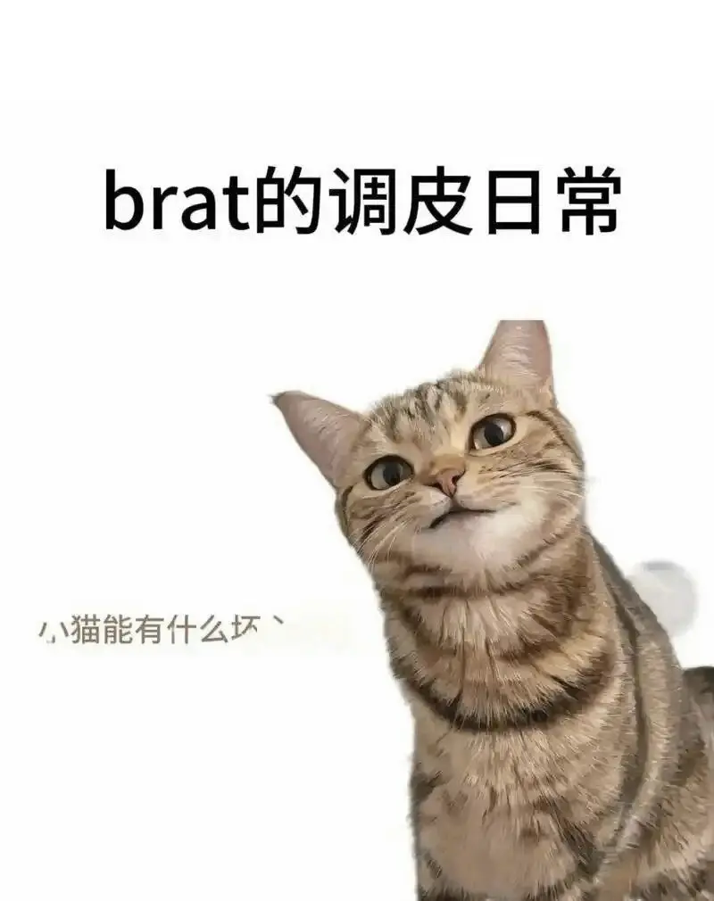 西檬之家-BDSM入门指南：新人的SSC原则与核心术语解析