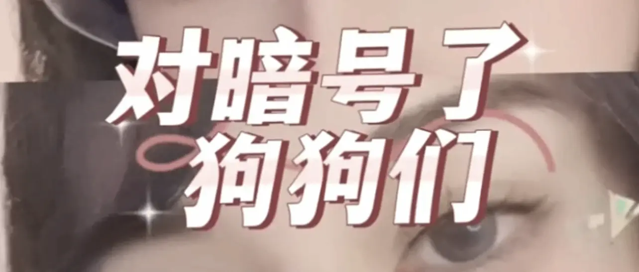 西檬之家-字母圈新人入圈指南，认识BDSM关键术语