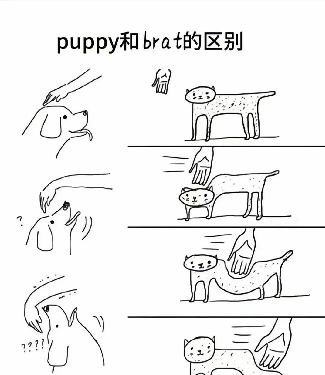 【西檬之家】PE在BDSM中的含义与实践指南