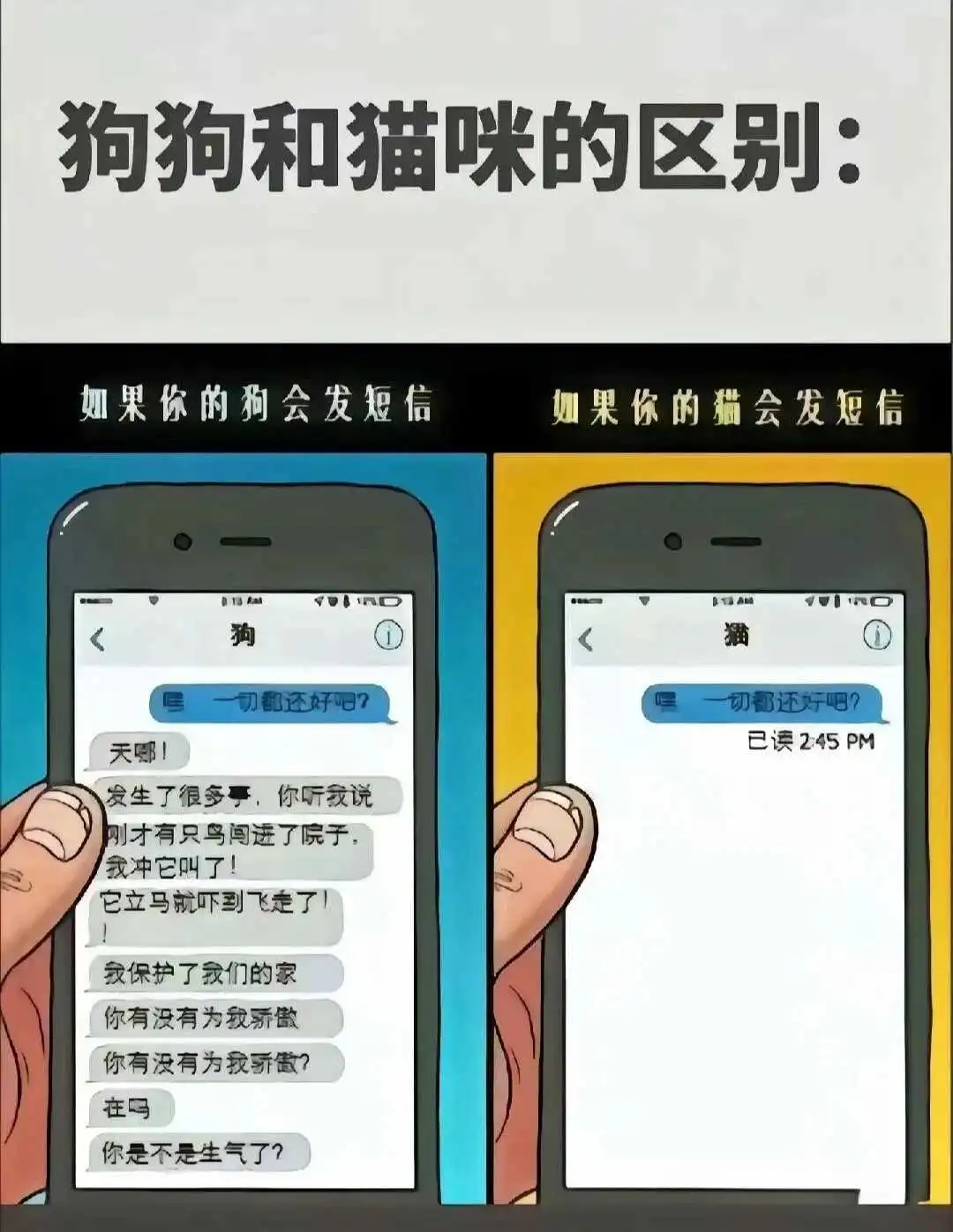【西檬之家】BDSM入圈：新人必修的安全指南与术语百科