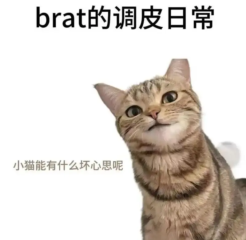 【西檬之家】字母圈Sp实践指南